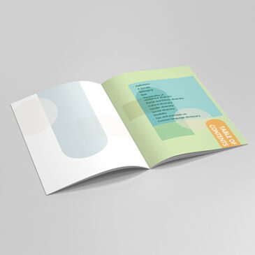 TDSite_Print_TP_DEICovers13_2023